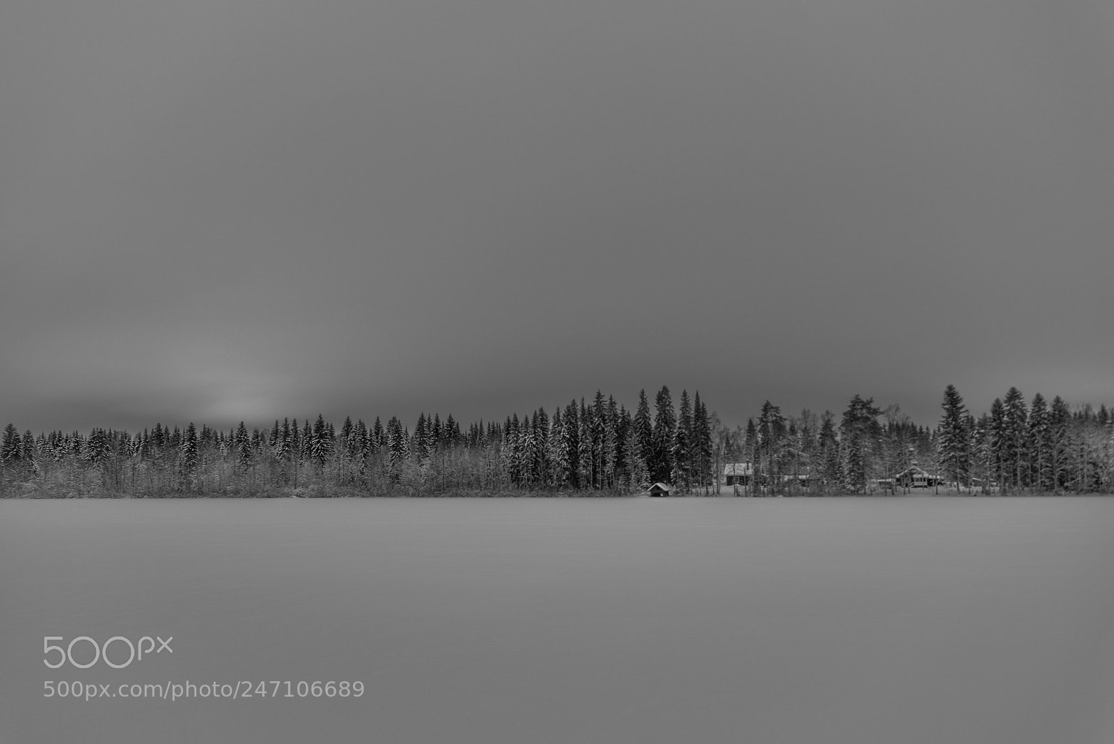Nikon D810 sample photo. Untitled photography