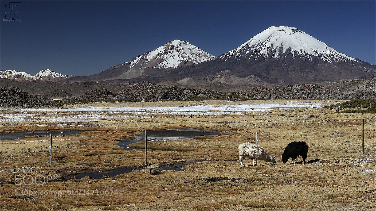 Canon EOS M5 sample photo. Parinacota and pomerape volcanos photography