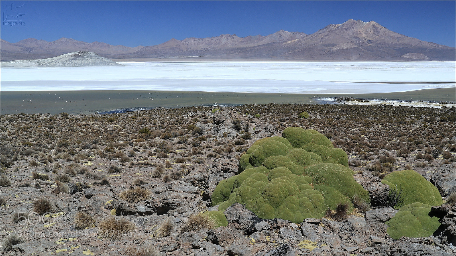 Canon EOS M5 sample photo. Salar de surire photography