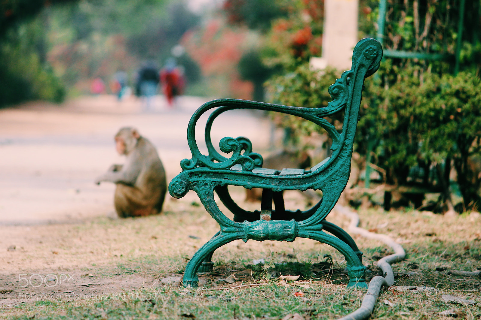Canon EOS 1300D (EOS Rebel T6 / EOS Kiss X80) sample photo. The empty chair. photography