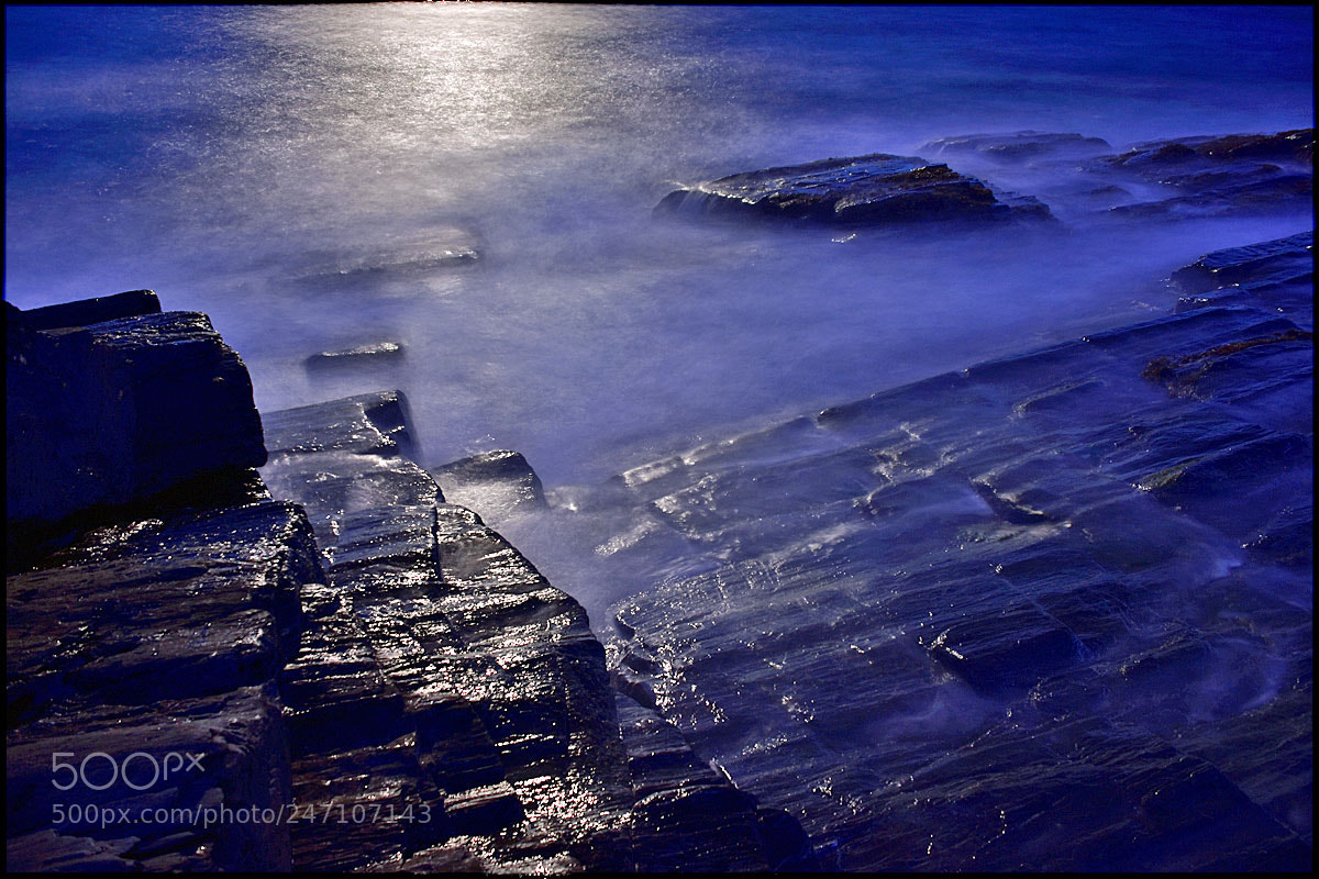 Nikon D7200 sample photo. Dsc photography