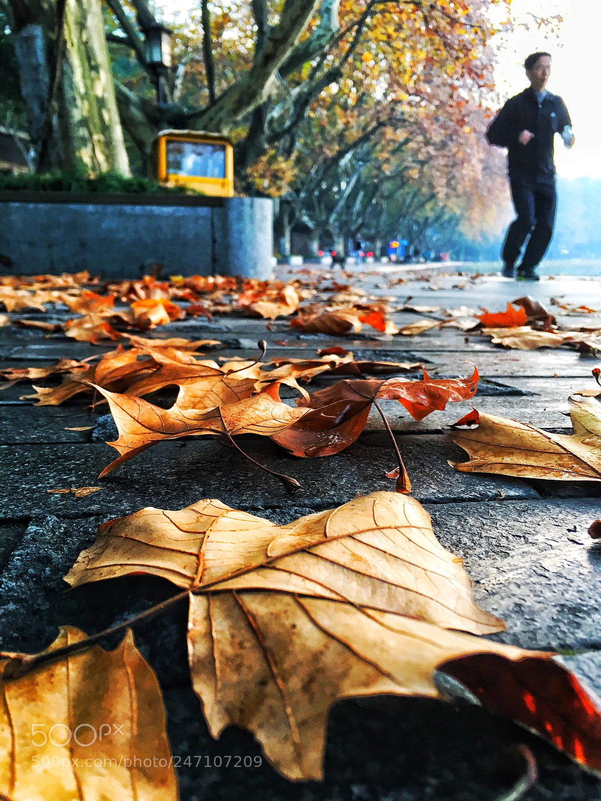 Apple iPhone 6s sample photo. Untitled photography