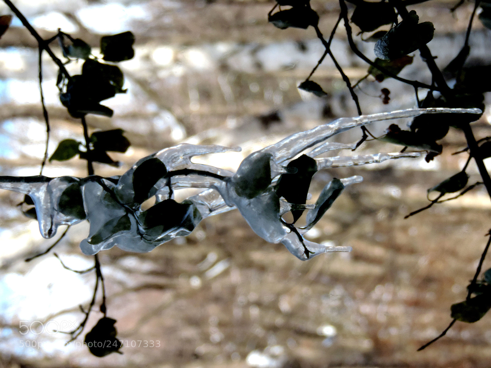 Nikon Coolpix P520 sample photo. Ice thru the window 4 photography