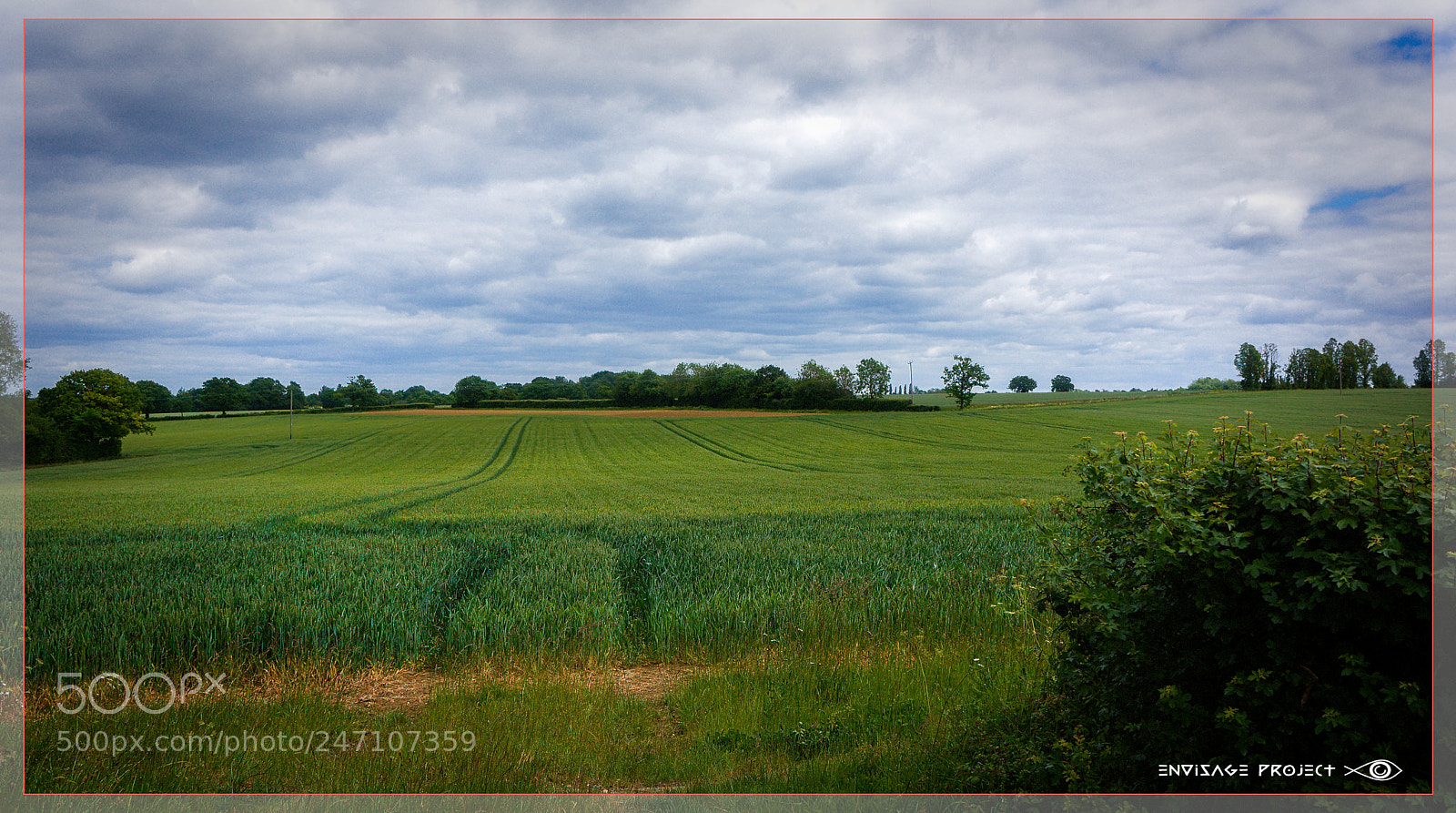 Sony Alpha NEX-7 sample photo. Essex farmland photography