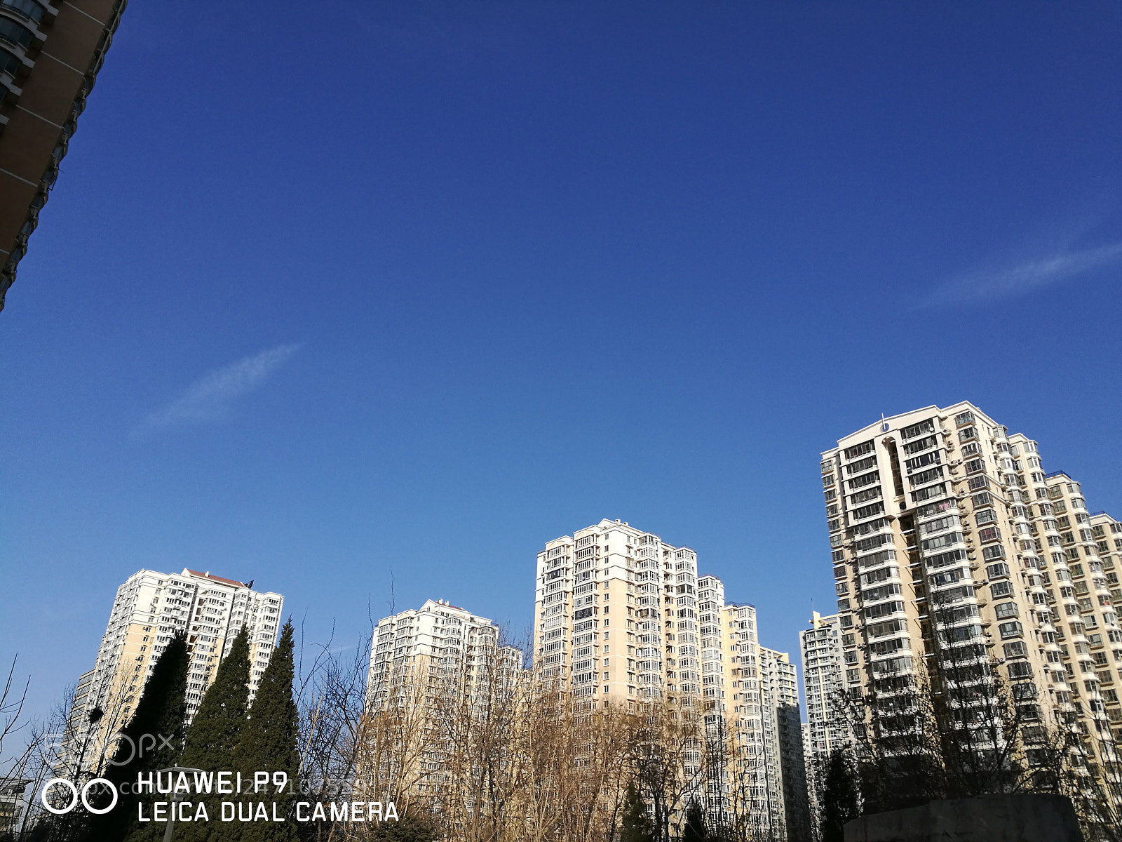 HUAWEI P9 sample photo. Untitled photography