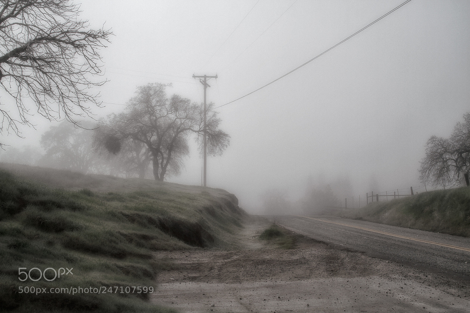 Canon EOS 7D sample photo. Foggy world photography
