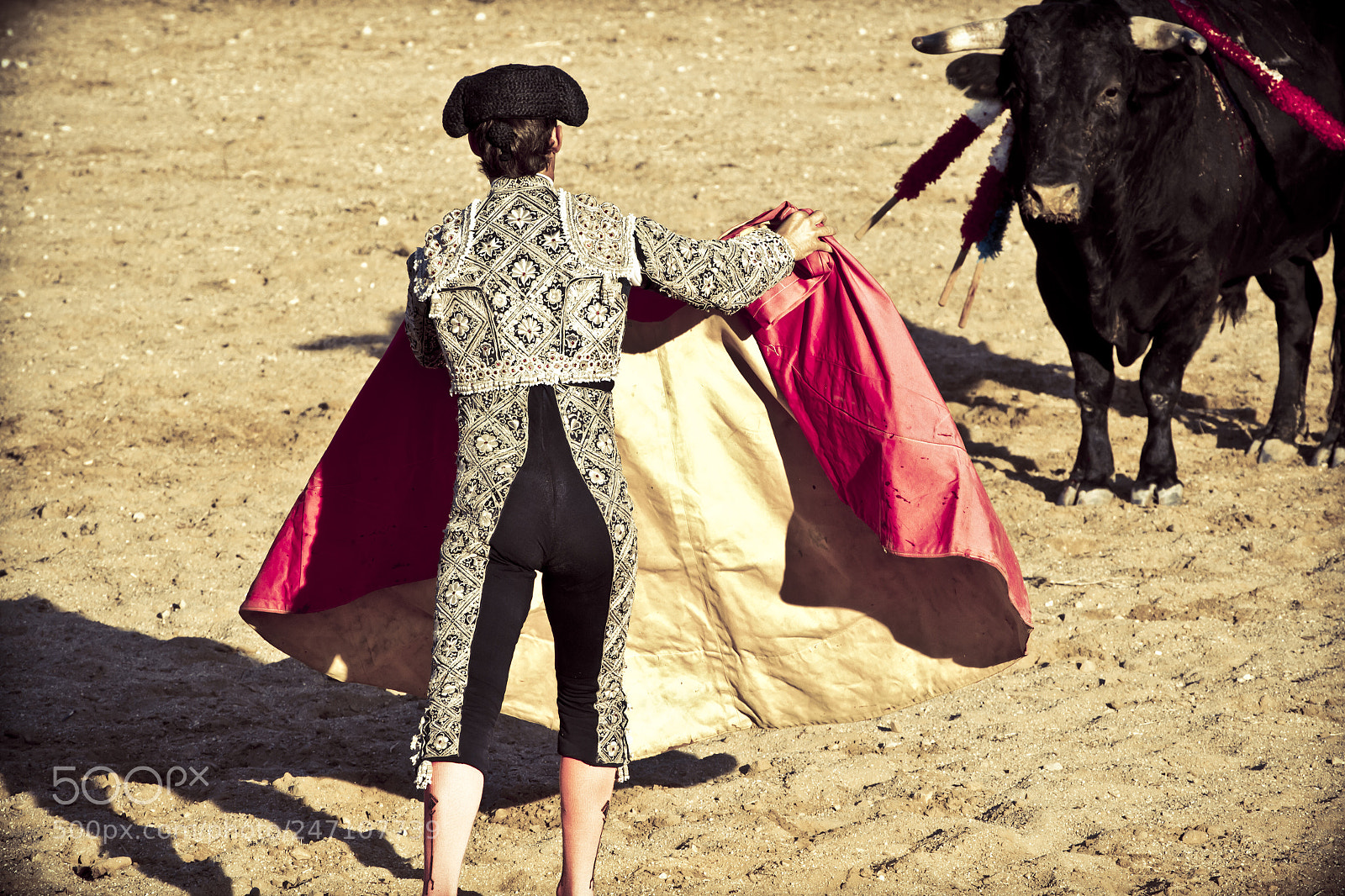 Canon EOS 7D sample photo. Matador and bull in photography