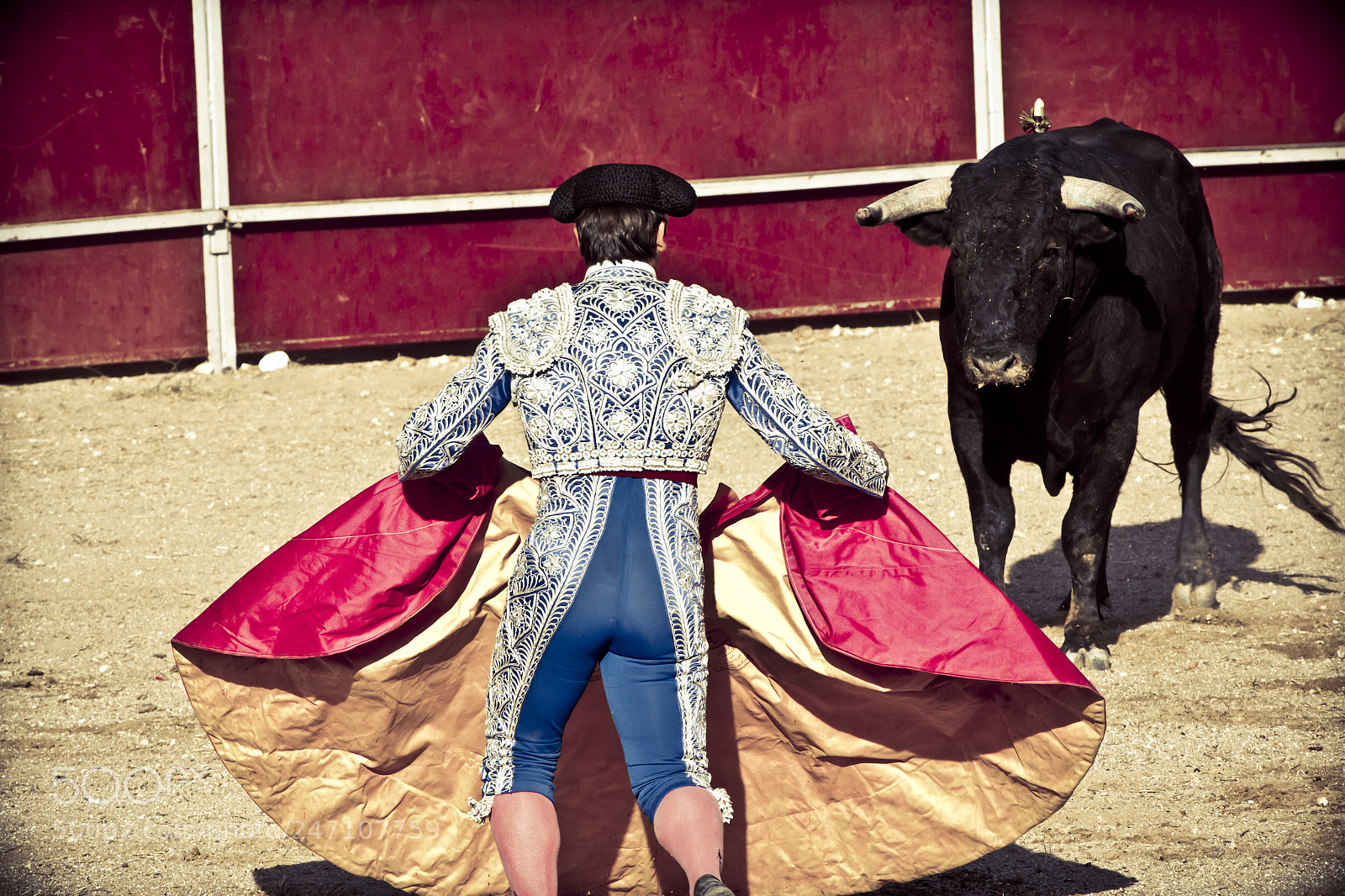 Canon EOS 7D sample photo. Matador and bull in photography