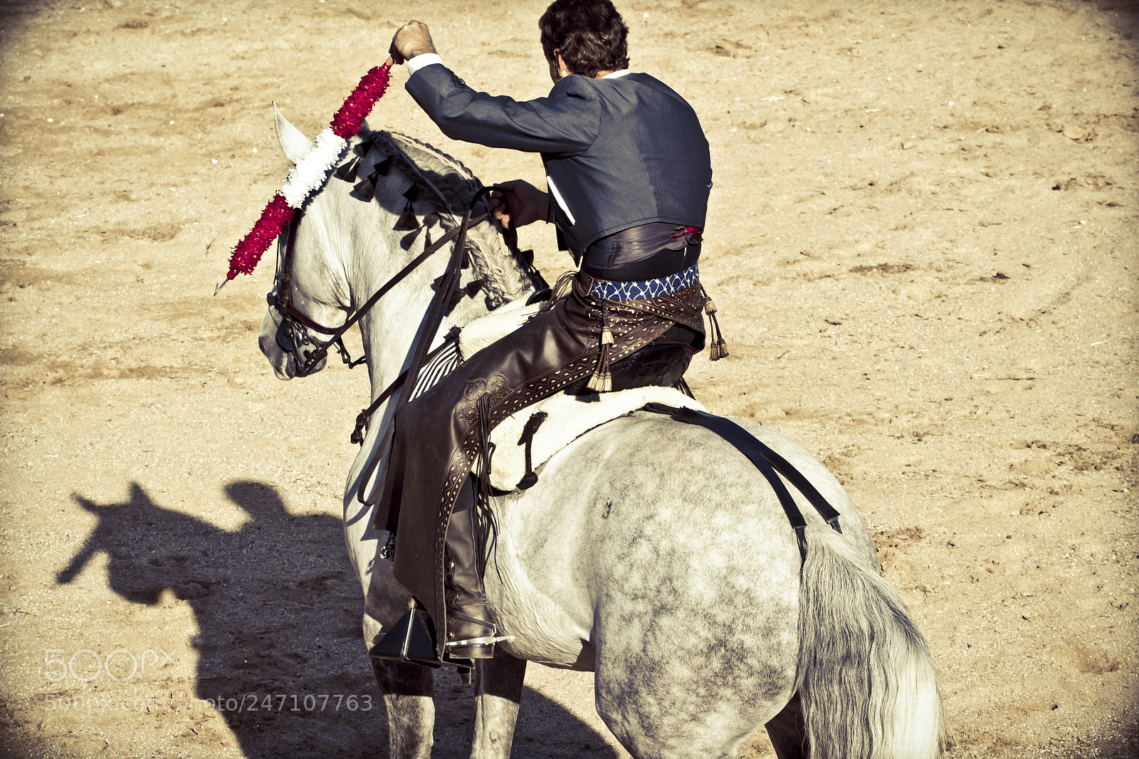 Canon EOS 7D sample photo. Bullfight on horseback. typical photography