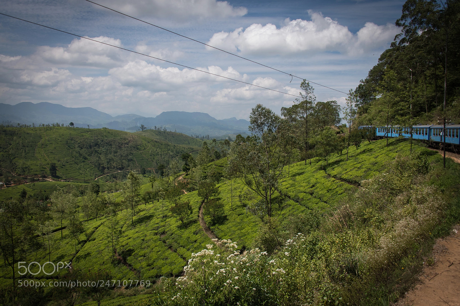 Nikon D850 sample photo. Passing train photography