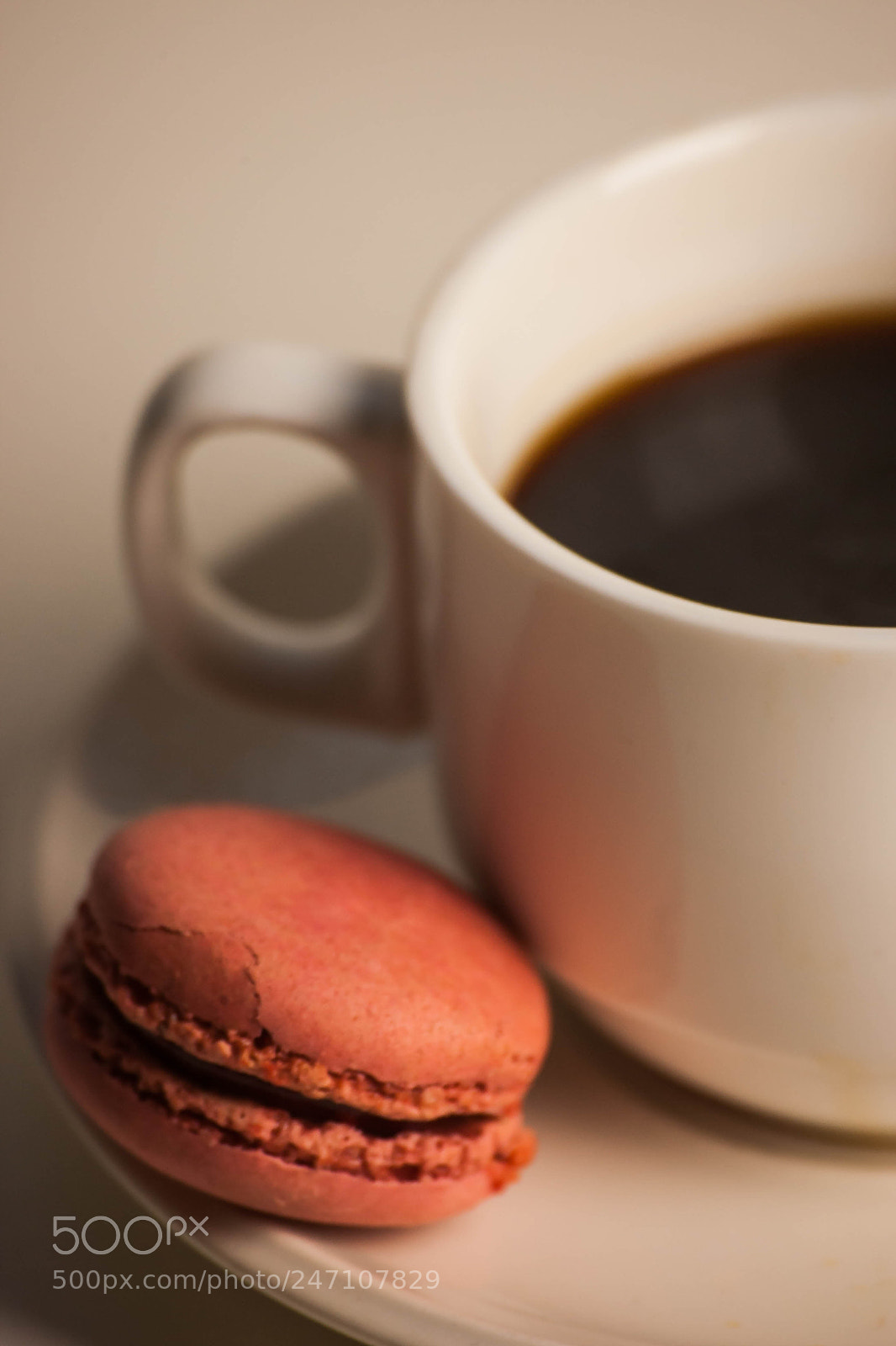 Canon EOS-1D Mark III sample photo. Macaroons photography