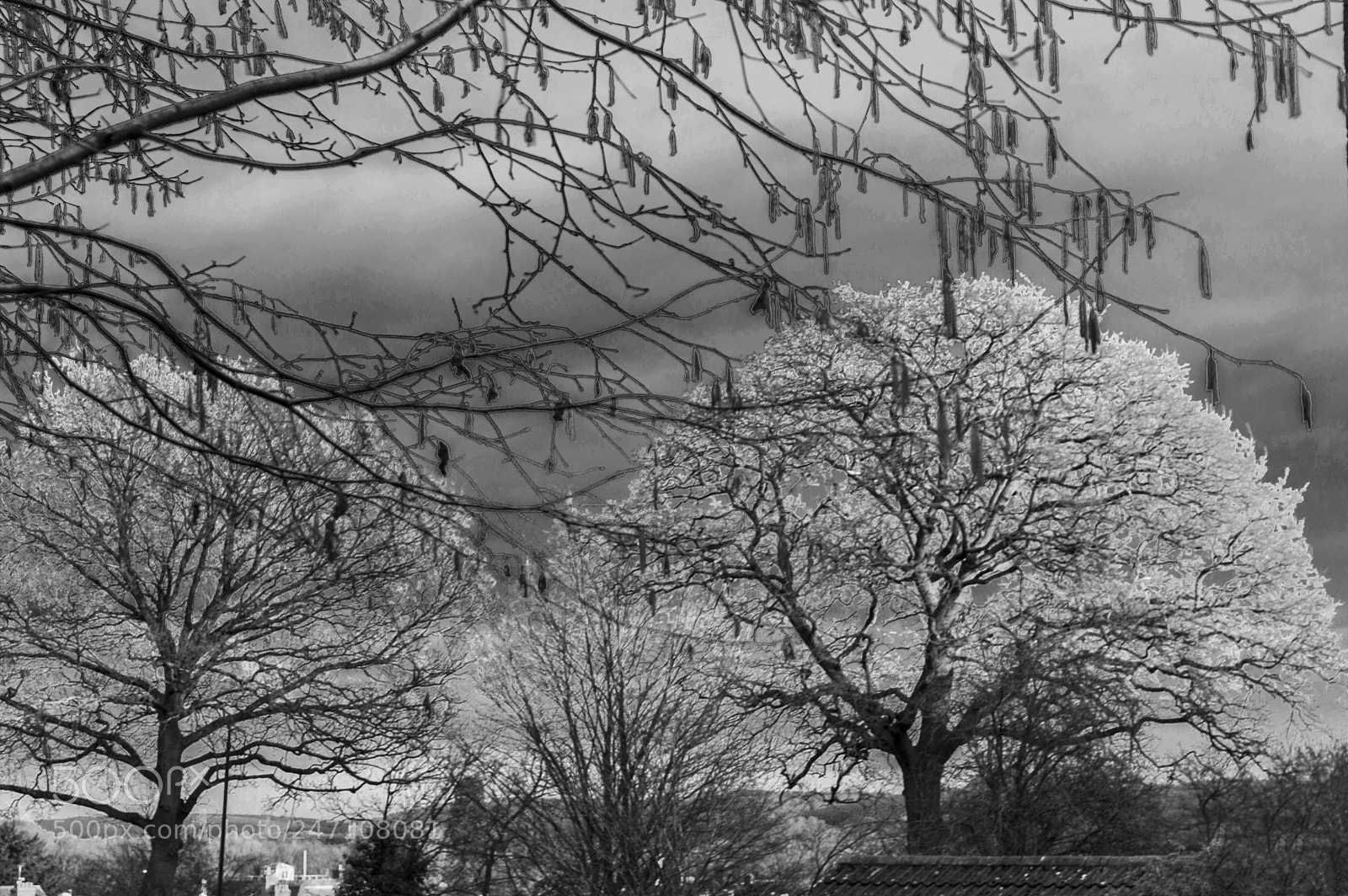 Nikon D3200 sample photo. Copy photography