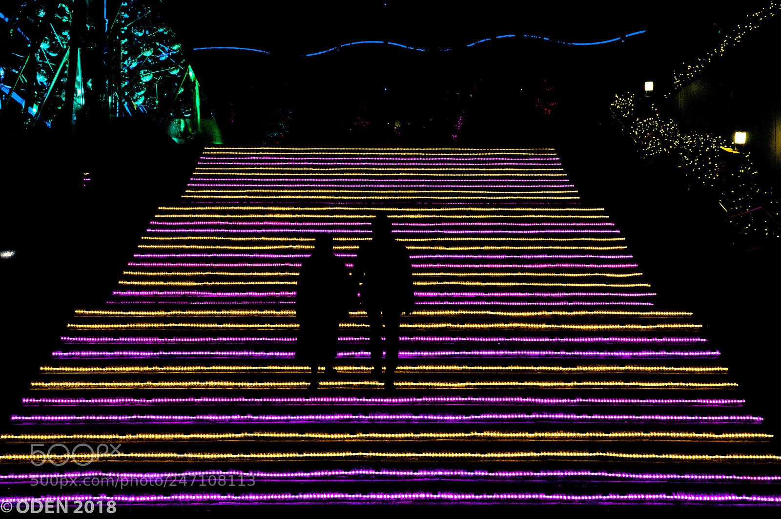 Nikon D300 sample photo. Shadow over light photography