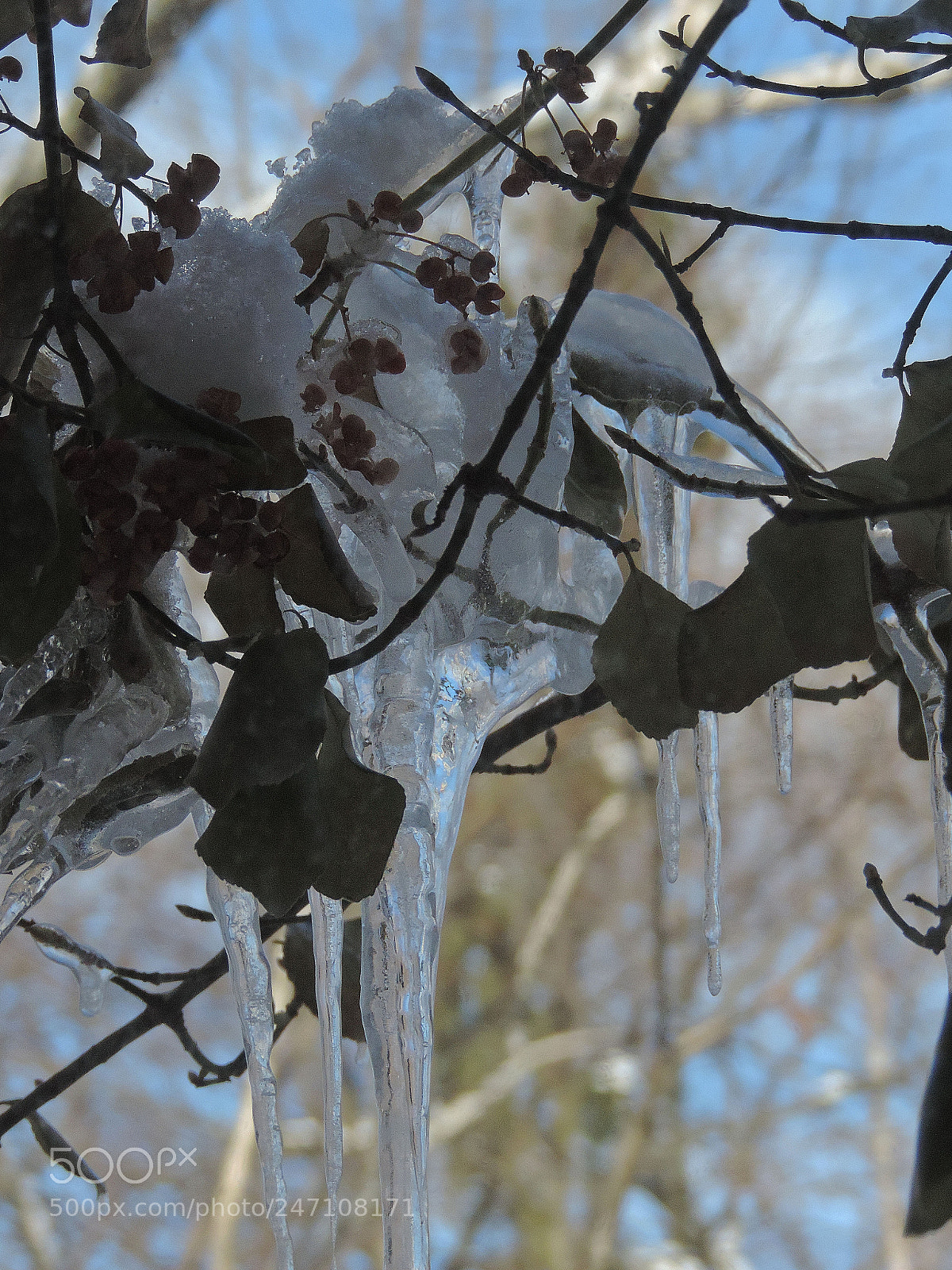 Nikon Coolpix P520 sample photo. Ice thru the window 5 photography