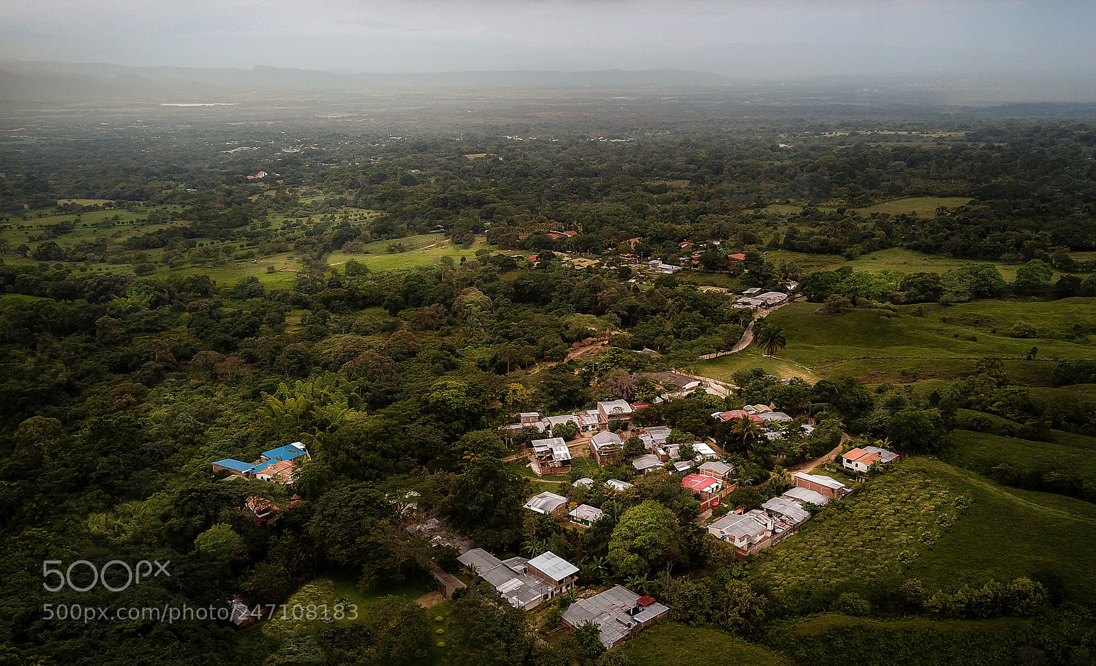 DJI FC220 sample photo. Green happines photography