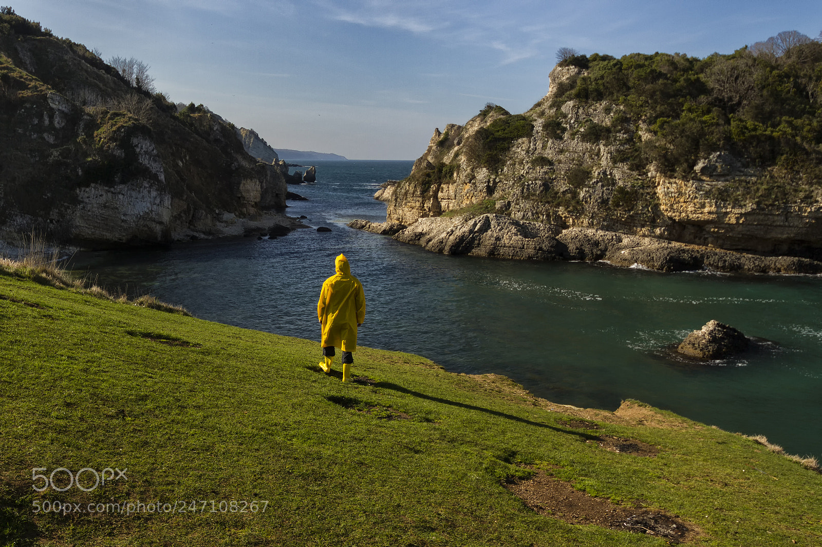Canon EOS 7D sample photo. Yellow photography