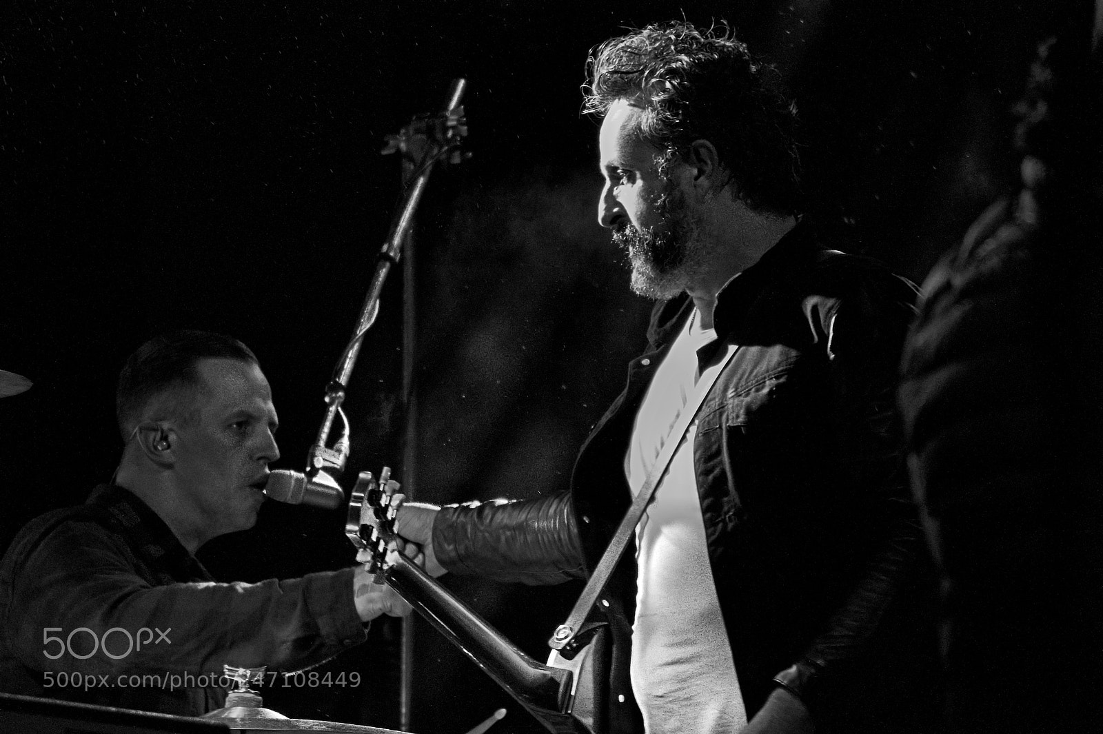 Nikon D500 sample photo. Molotov / concert photography