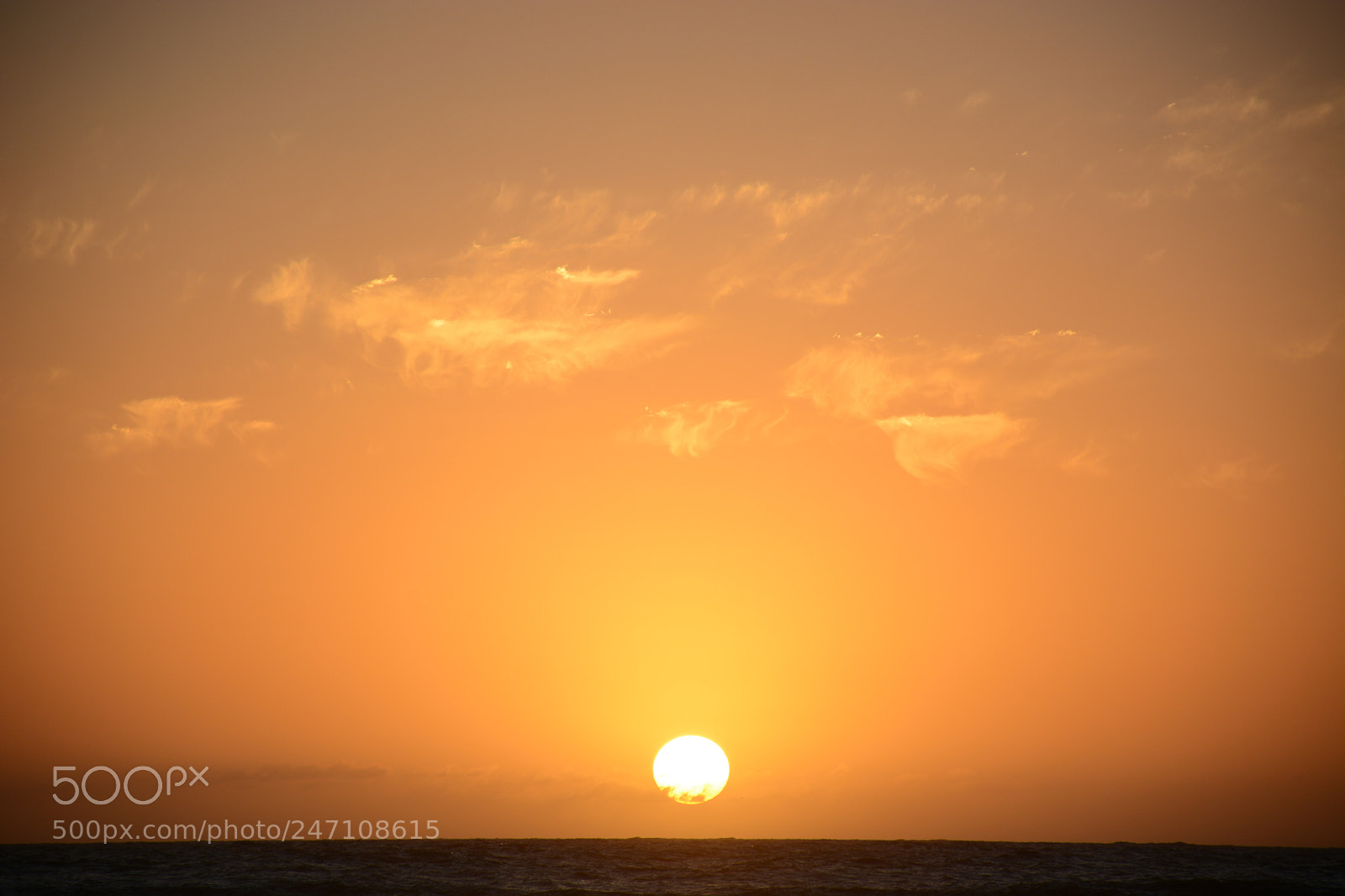 Nikon D7100 sample photo. Untitled photography