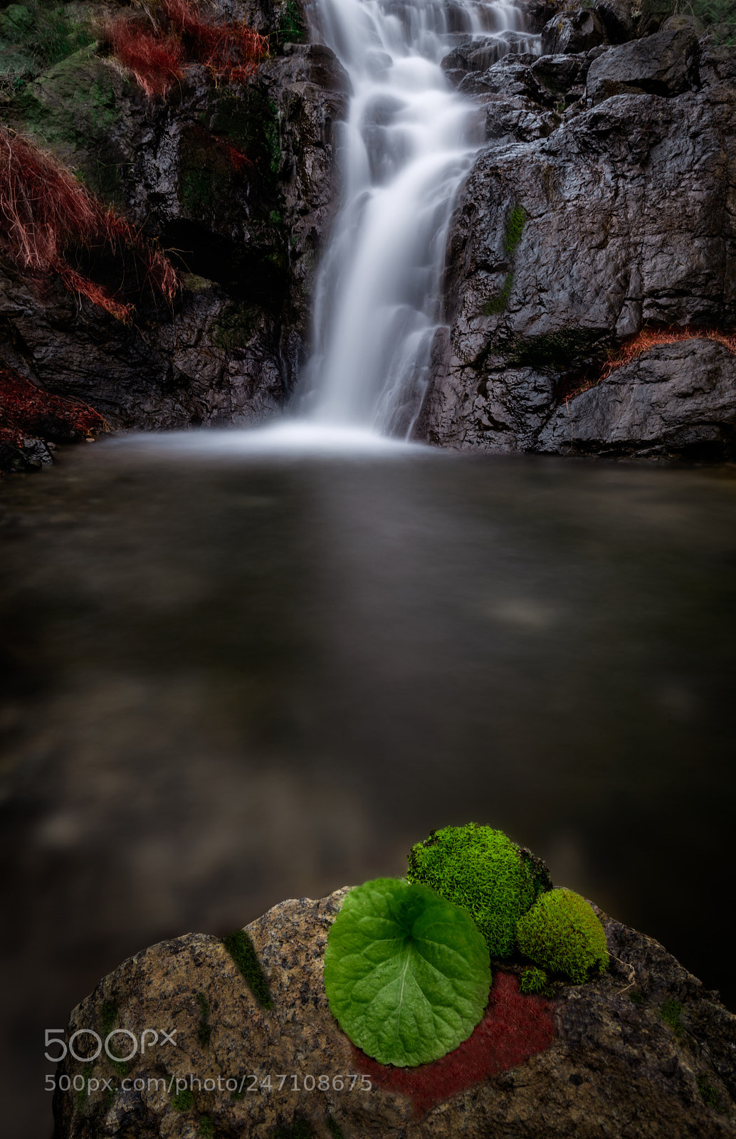 Nikon D810 sample photo. The main one photography