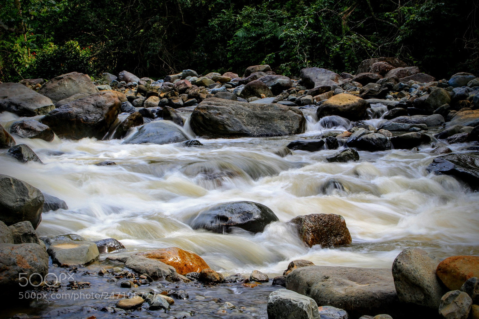 Canon EOS 1300D (EOS Rebel T6 / EOS Kiss X80) sample photo. Following the river photography