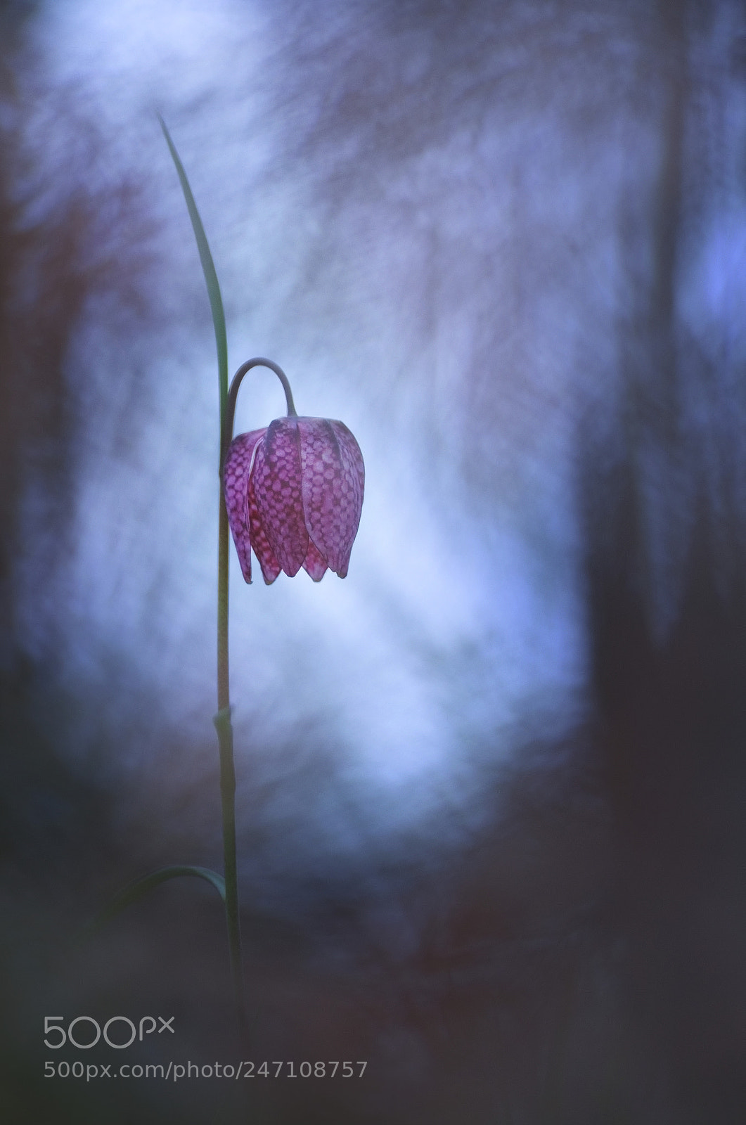 Pentax K-5 sample photo. Comme un phare photography