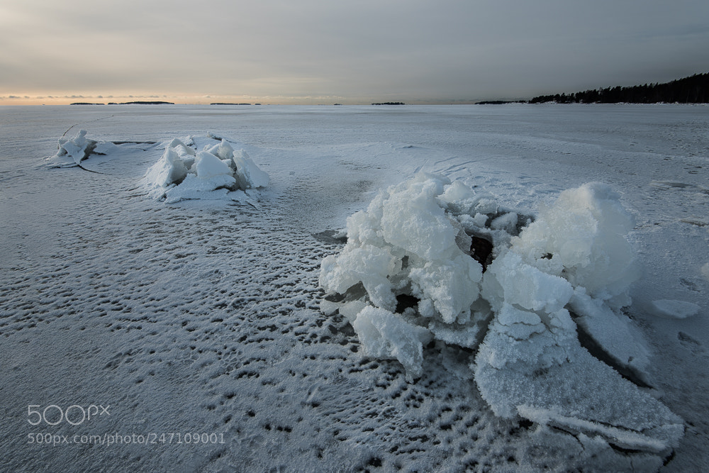 Nikon D810 sample photo. Skatanniemi photography
