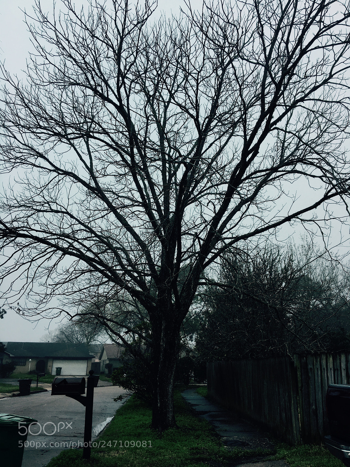 Apple iPhone 6s sample photo. Untitled photography