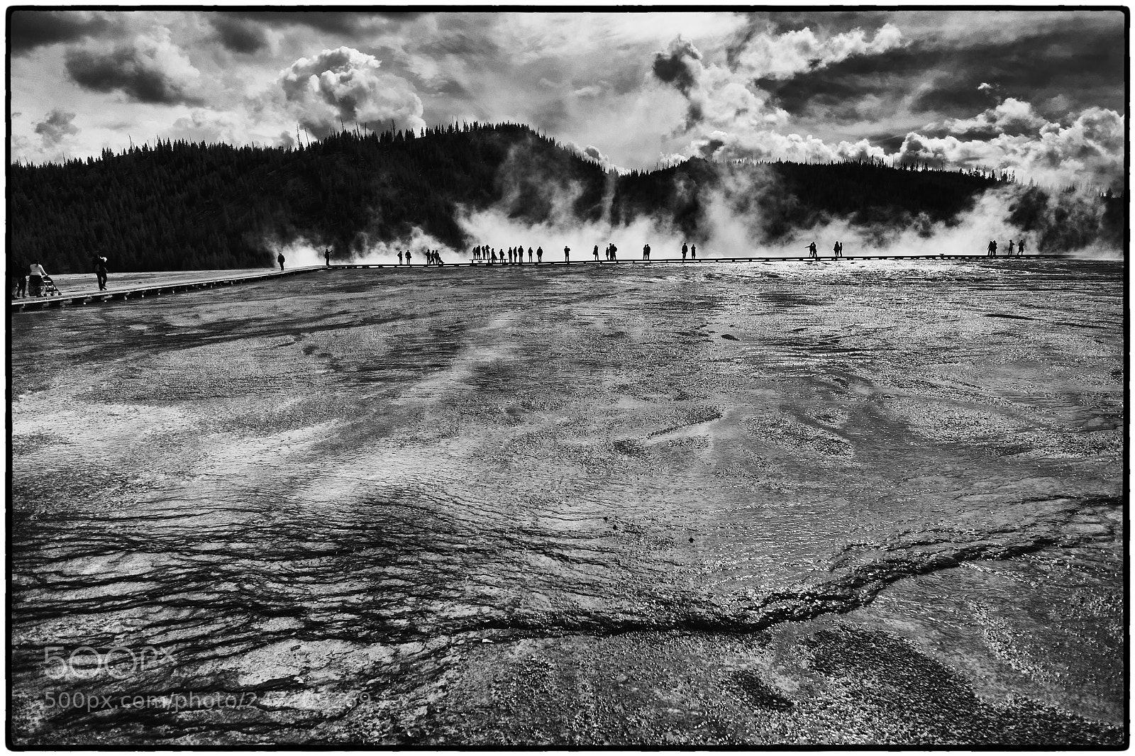 Fujifilm X-T1 sample photo. Yellowstone bw photography