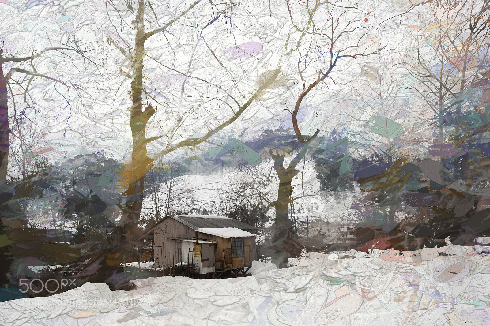 Nikon D4S sample photo. Winter dream photography
