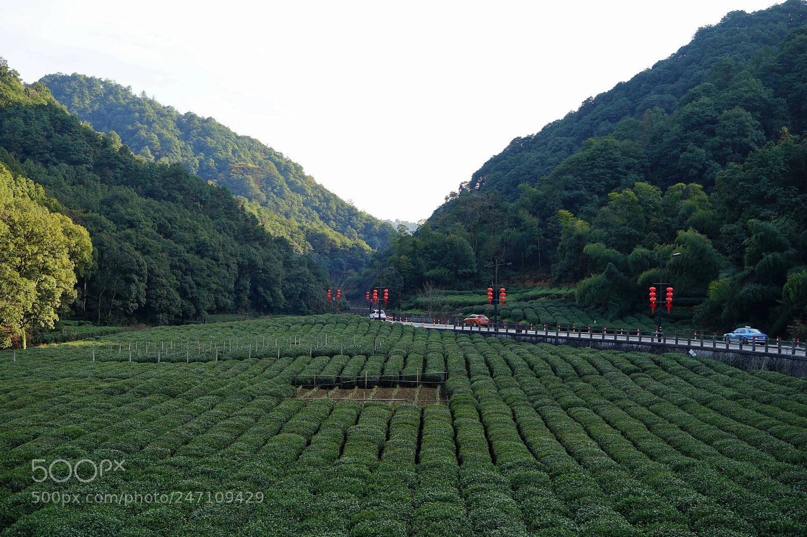 Sony a7 II sample photo. 梅坞春早 photography