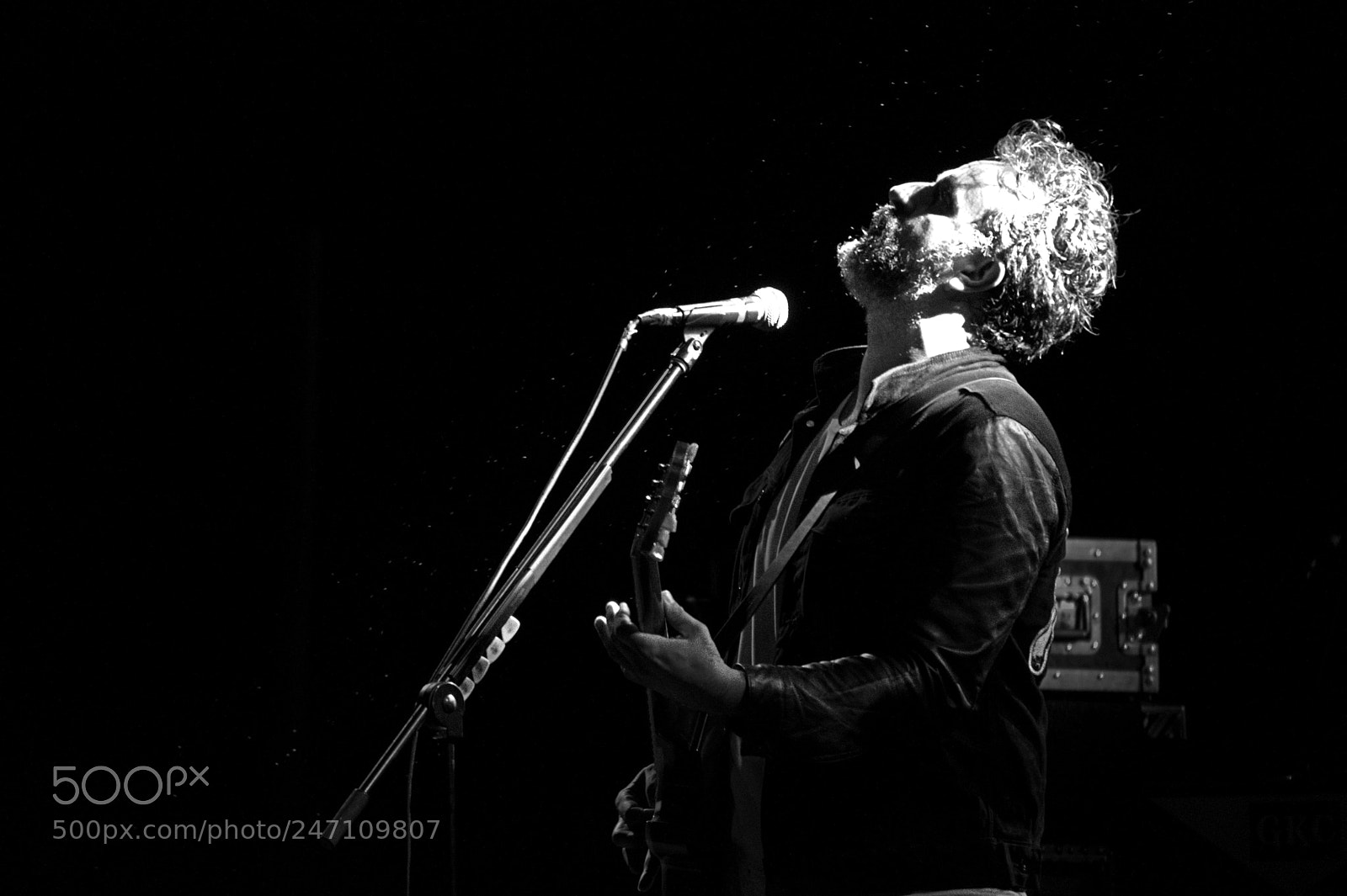 Nikon D500 sample photo. Molotov / concert photography