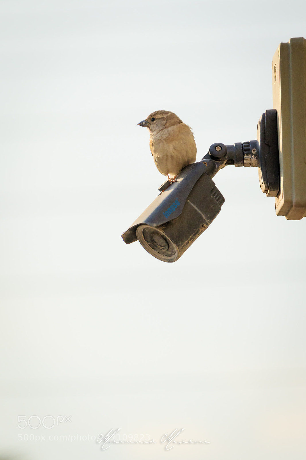 Canon EOS 7D Mark II sample photo. Cctv photography