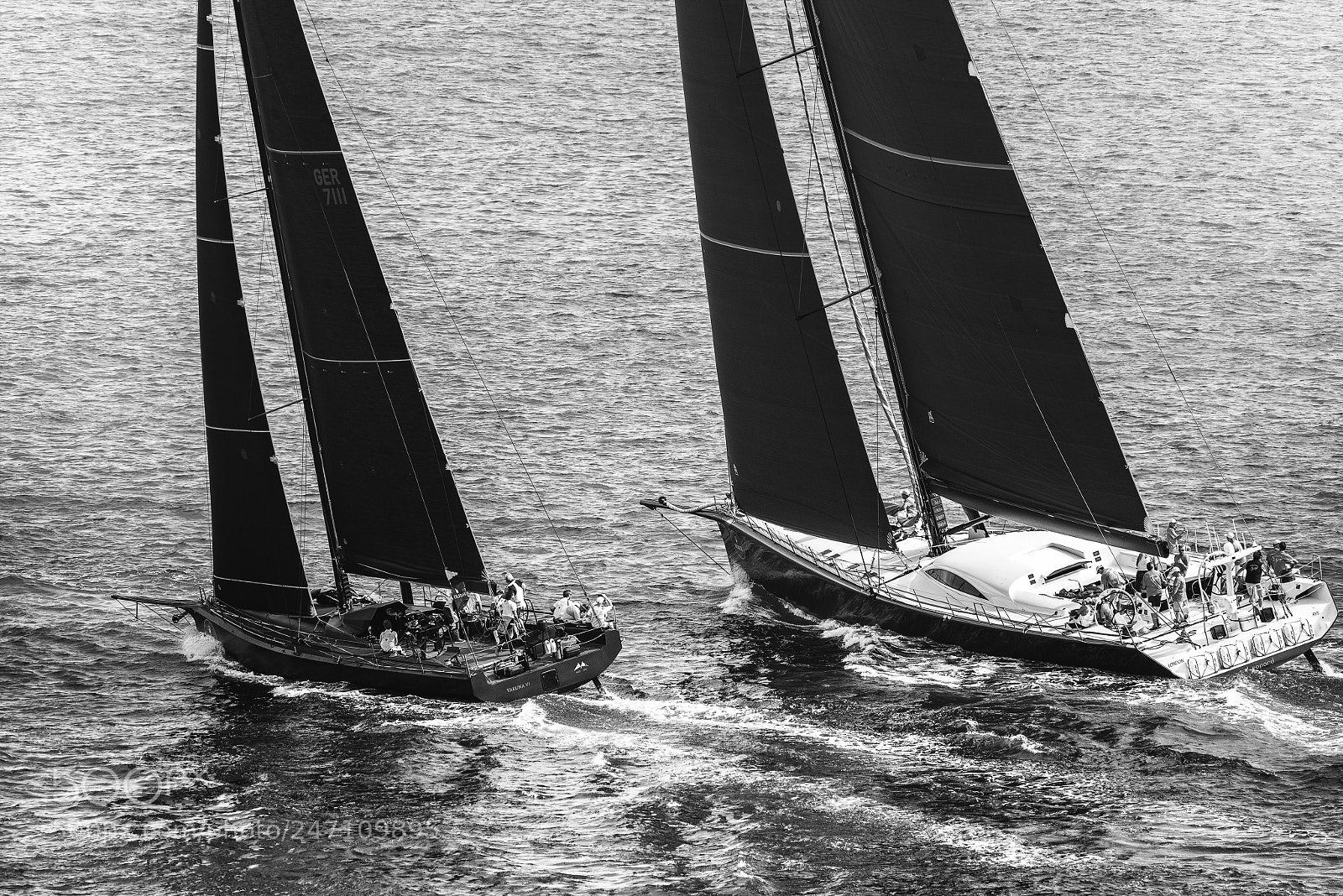 Nikon D810 sample photo. Regatta photography