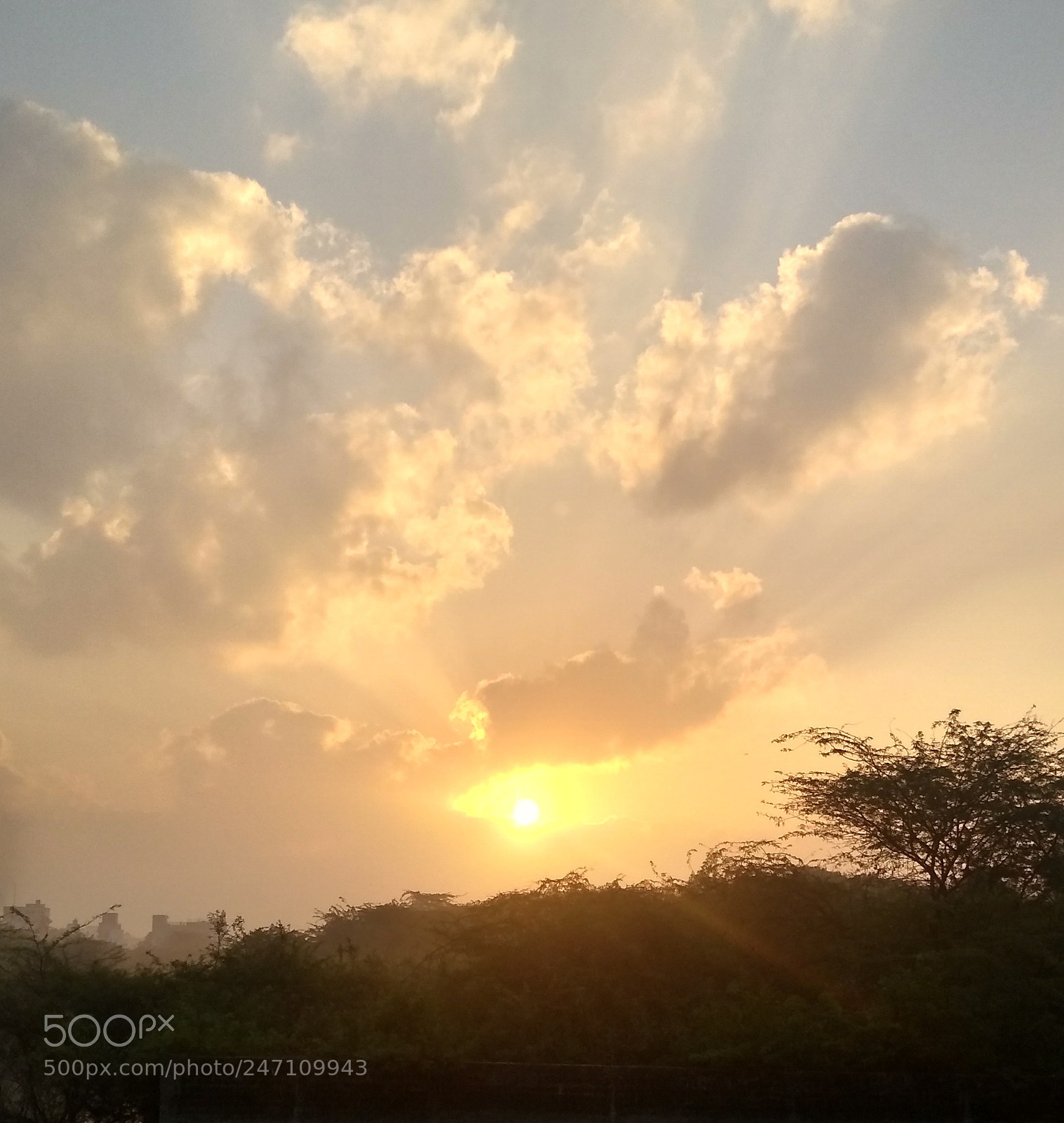 Motorola Moto G (5S) Plus sample photo. Untitled photography