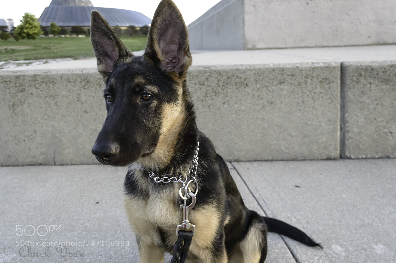 Nikon D3200 sample photo. Sammie photography