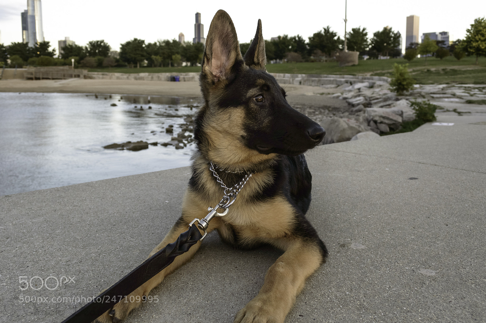 Nikon D3200 sample photo. Sammie photography