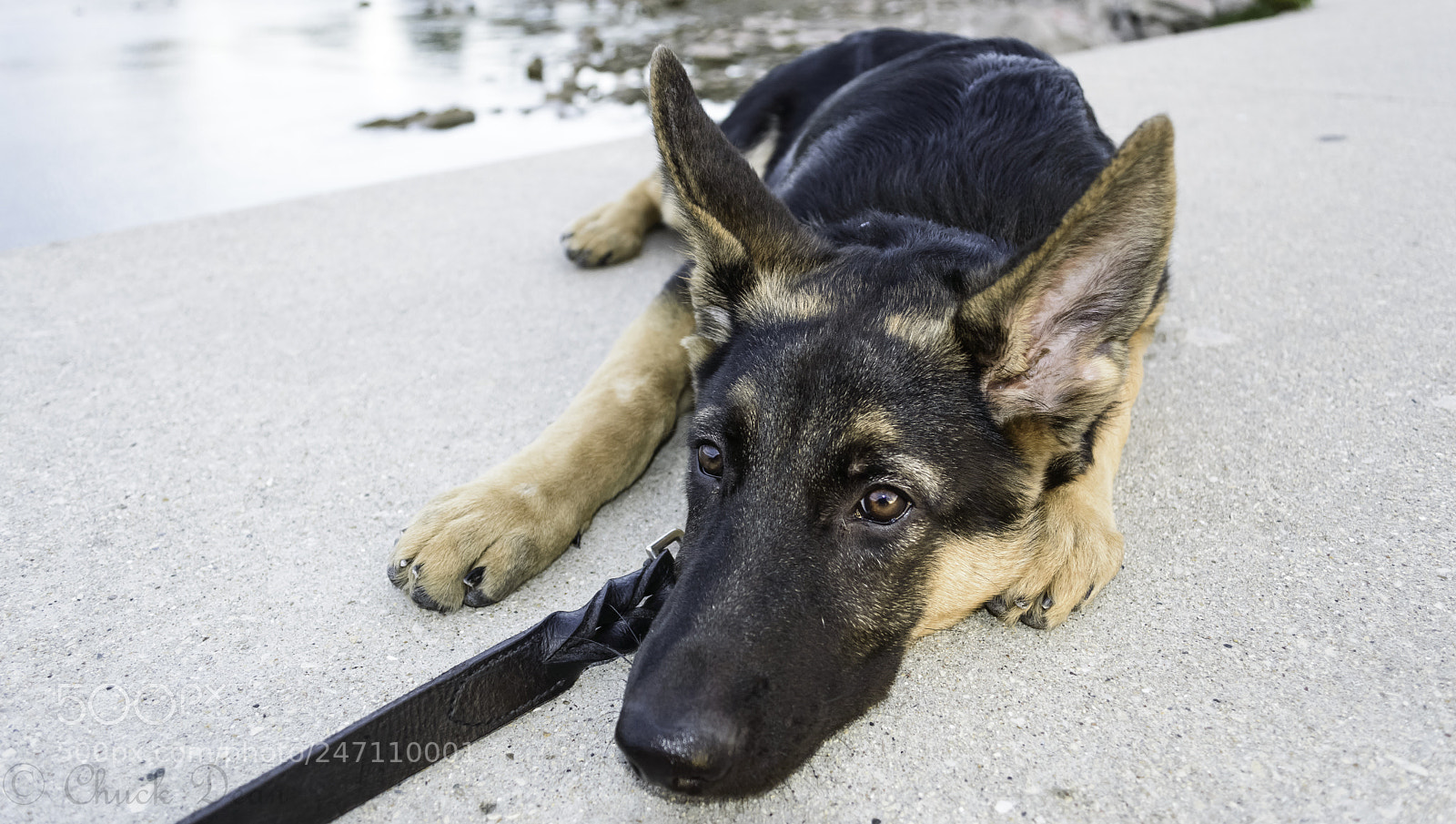 Nikon D3200 sample photo. Sammie photography
