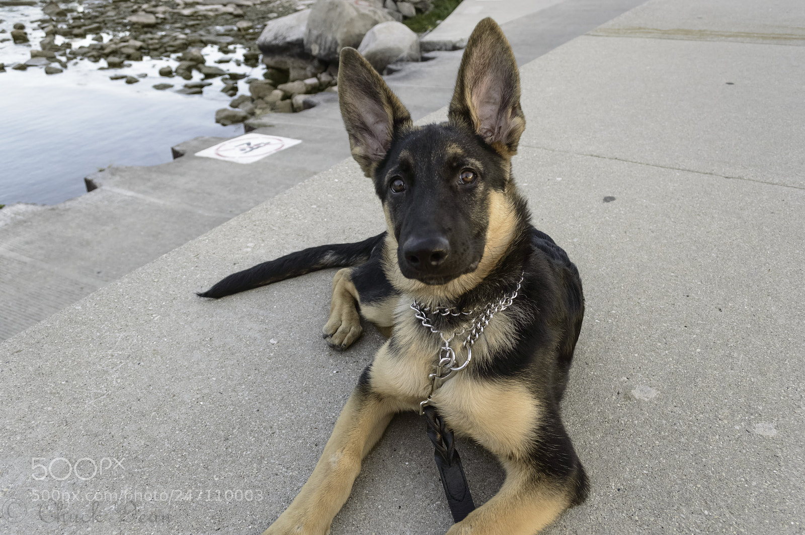 Nikon D3200 sample photo. Sammie photography