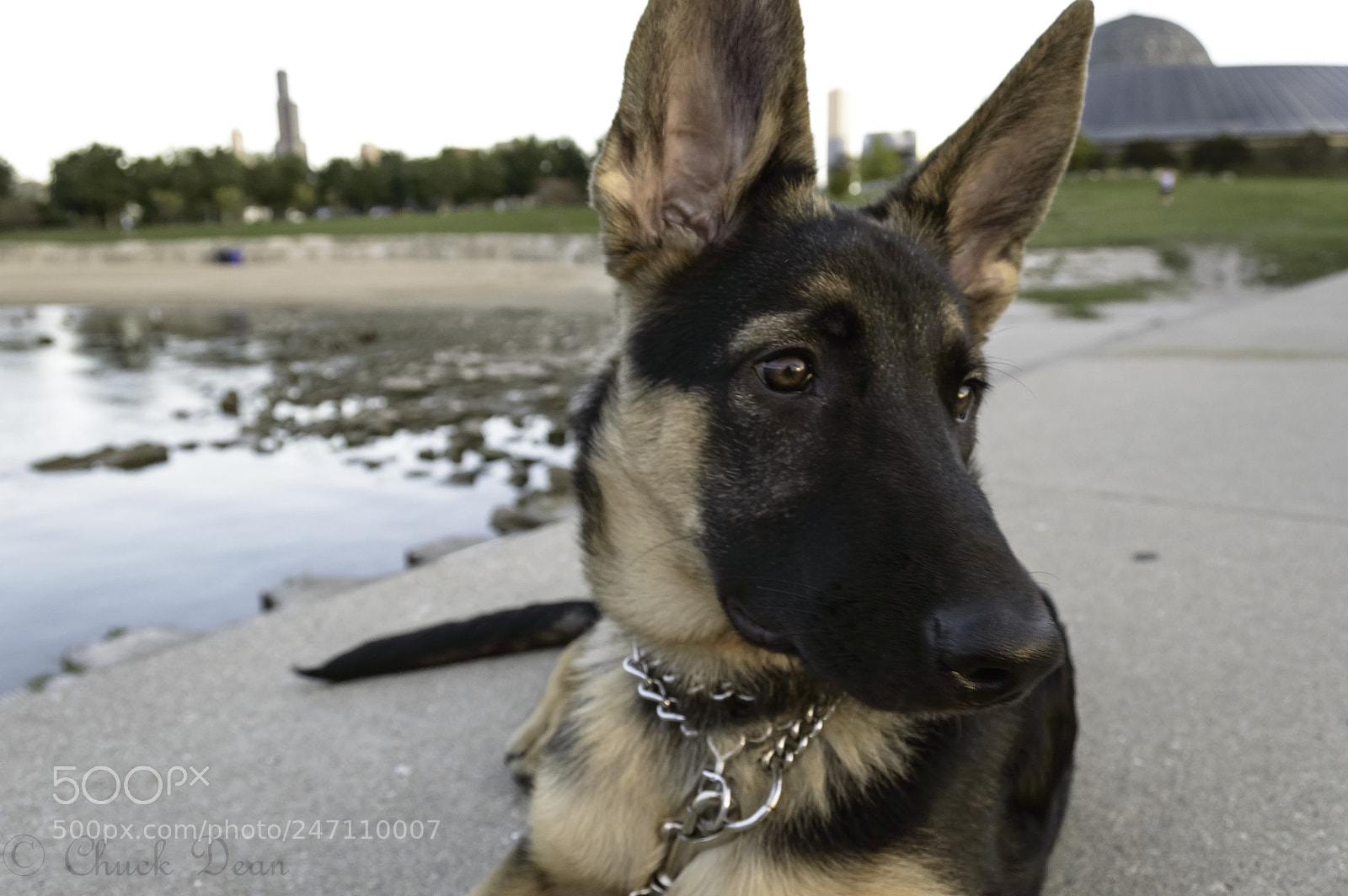 Nikon D3200 sample photo. Sammie photography