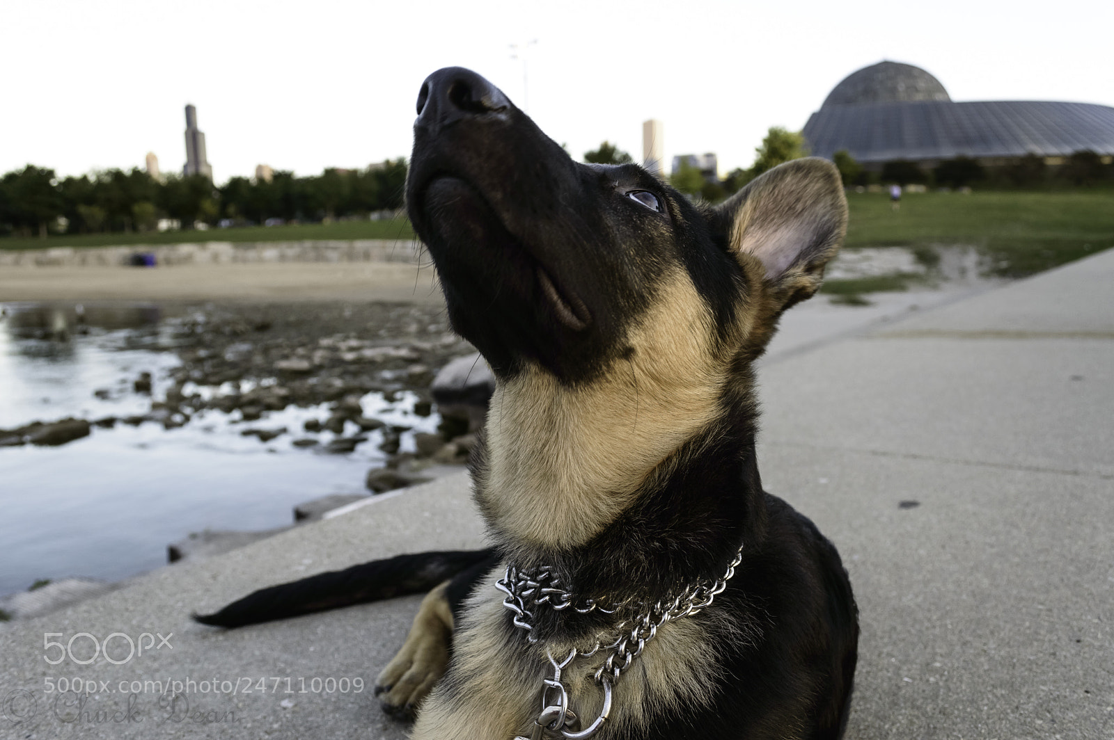 Nikon D3200 sample photo. Sammie photography
