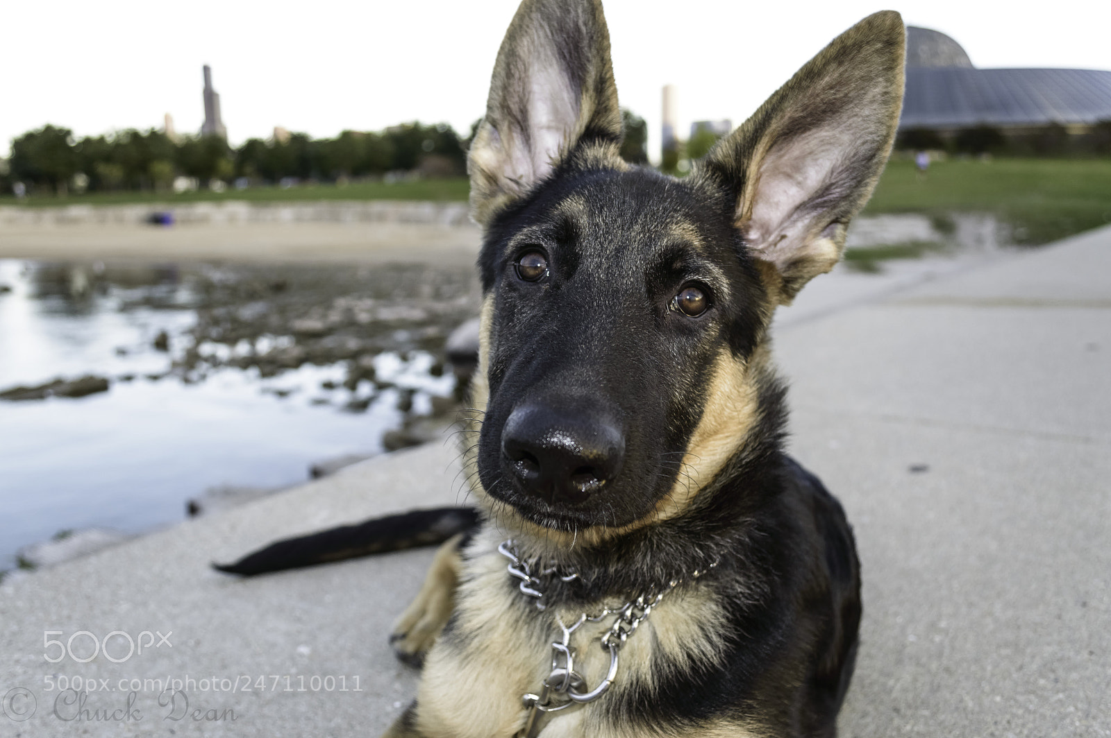 Nikon D3200 sample photo. Sammie photography