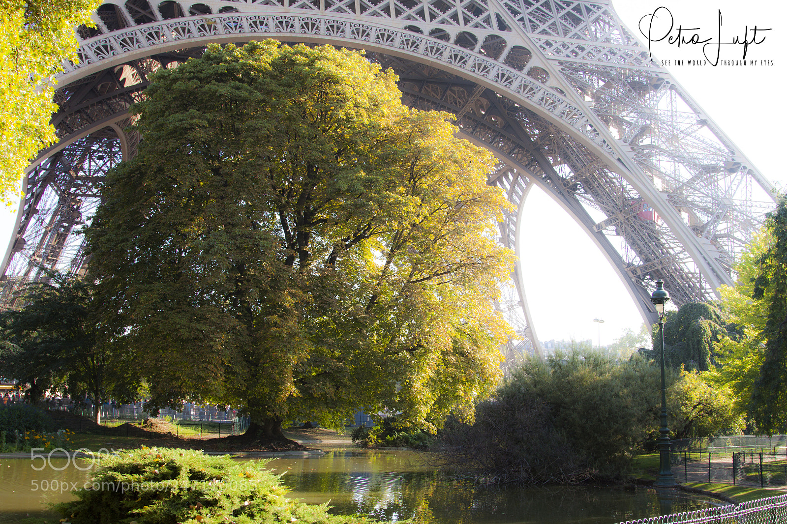 Canon EOS 50D sample photo. Tree under eifel tower photography