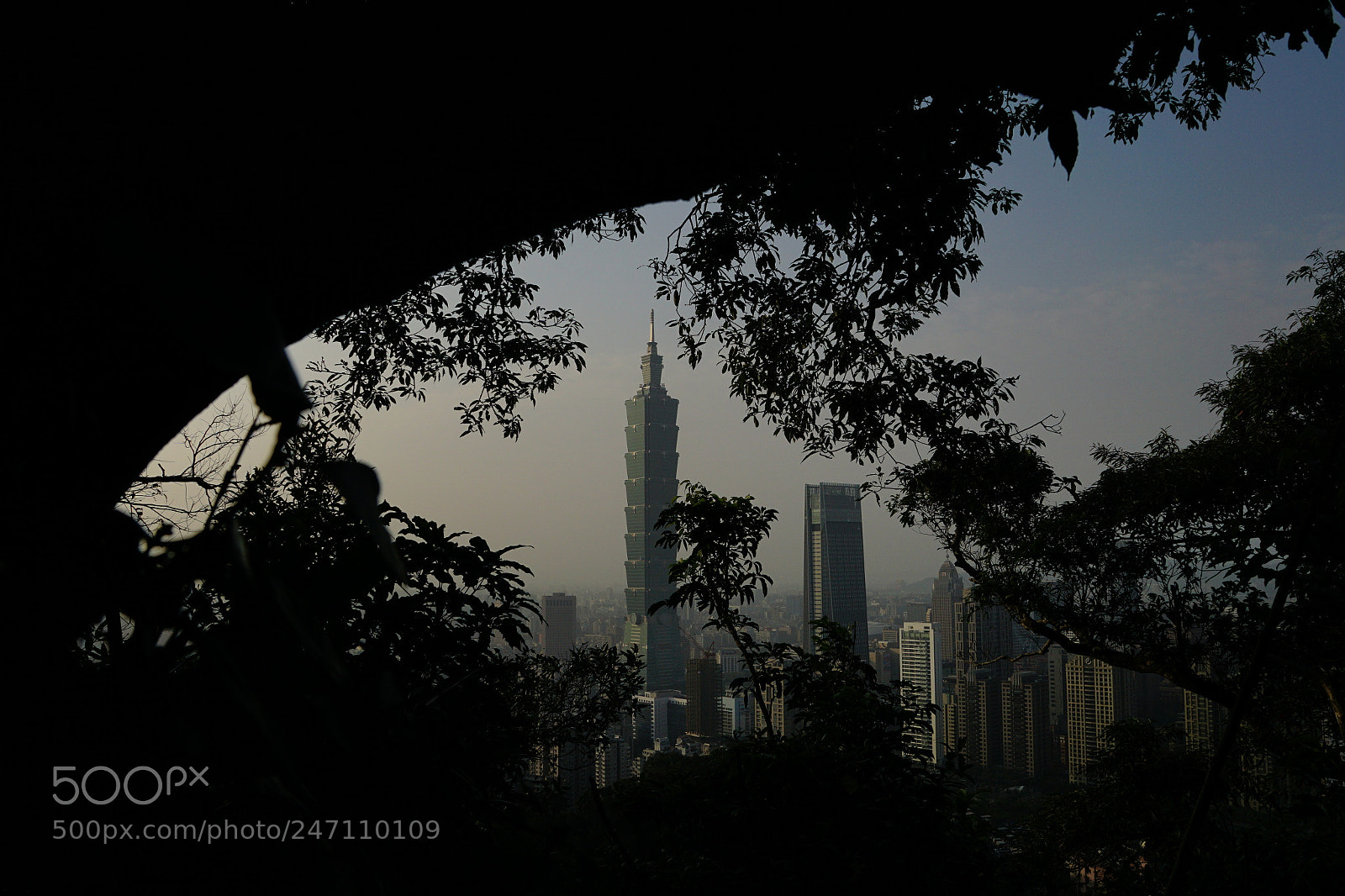 Sony DT 16-50mm F2.8 SSM sample photo. Jungle in the city photography