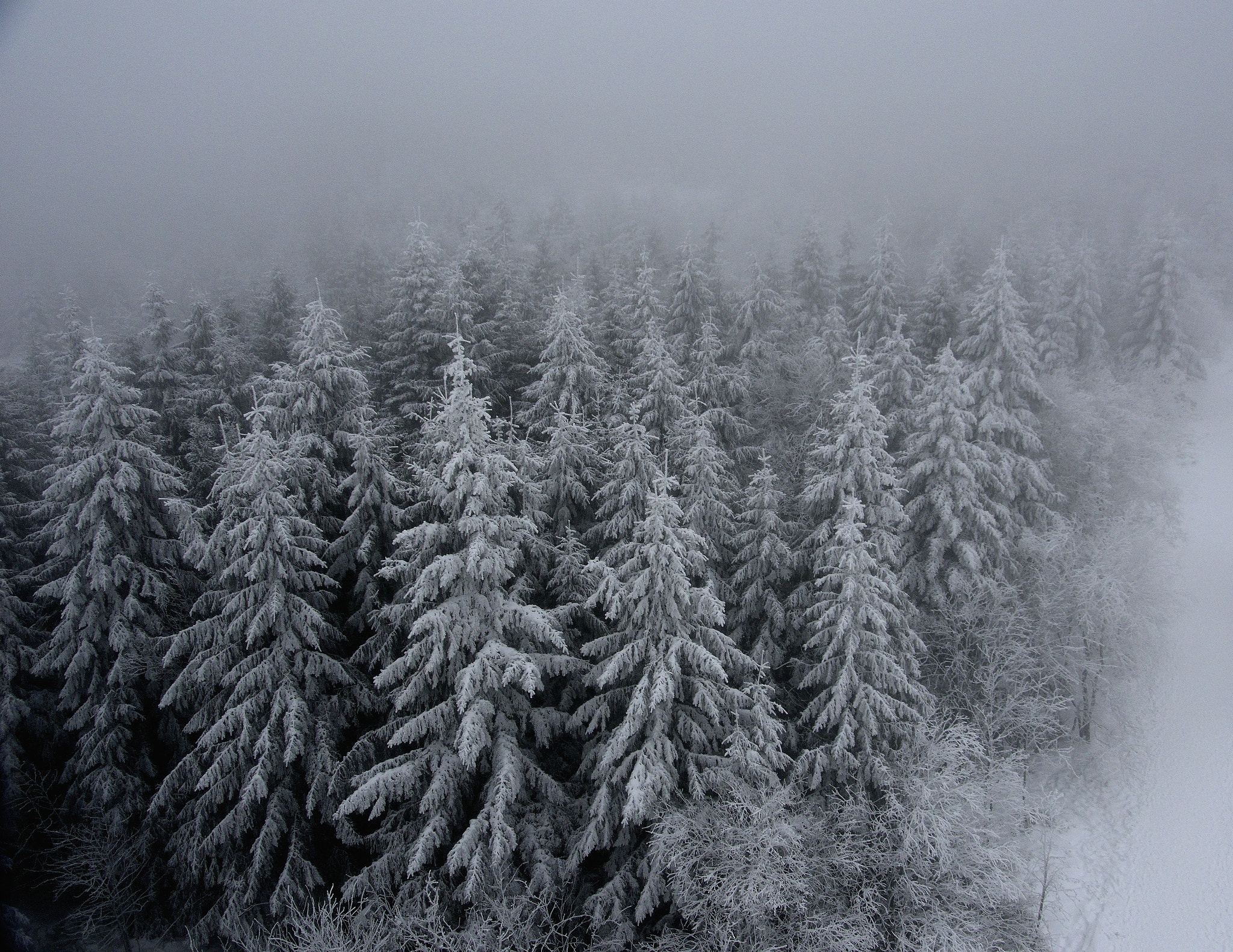Nikon D5500 sample photo. Winter wonderland photography