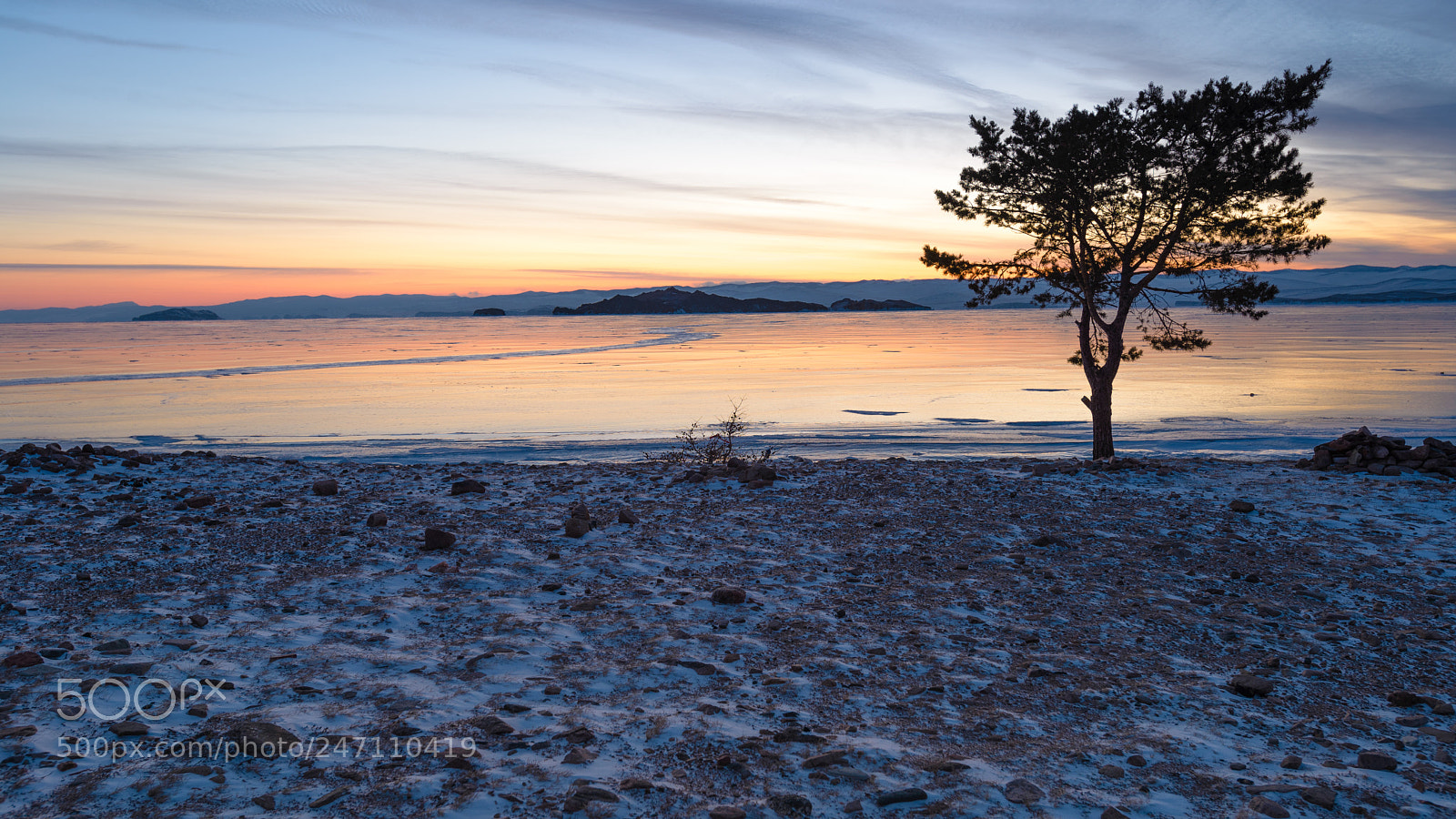 Nikon D610 sample photo. Morning. photography