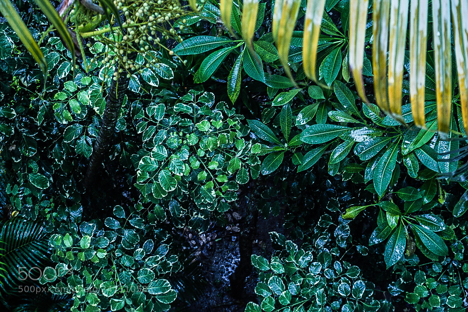 Sony a6300 sample photo. Untitled photography