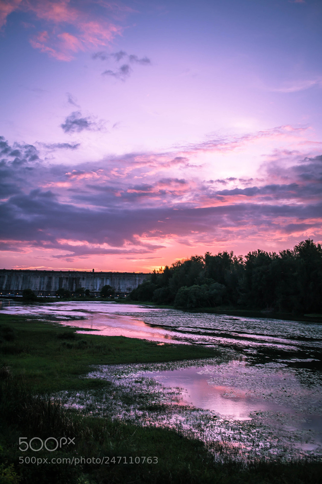 Nikon D3100 sample photo. Untitled photography