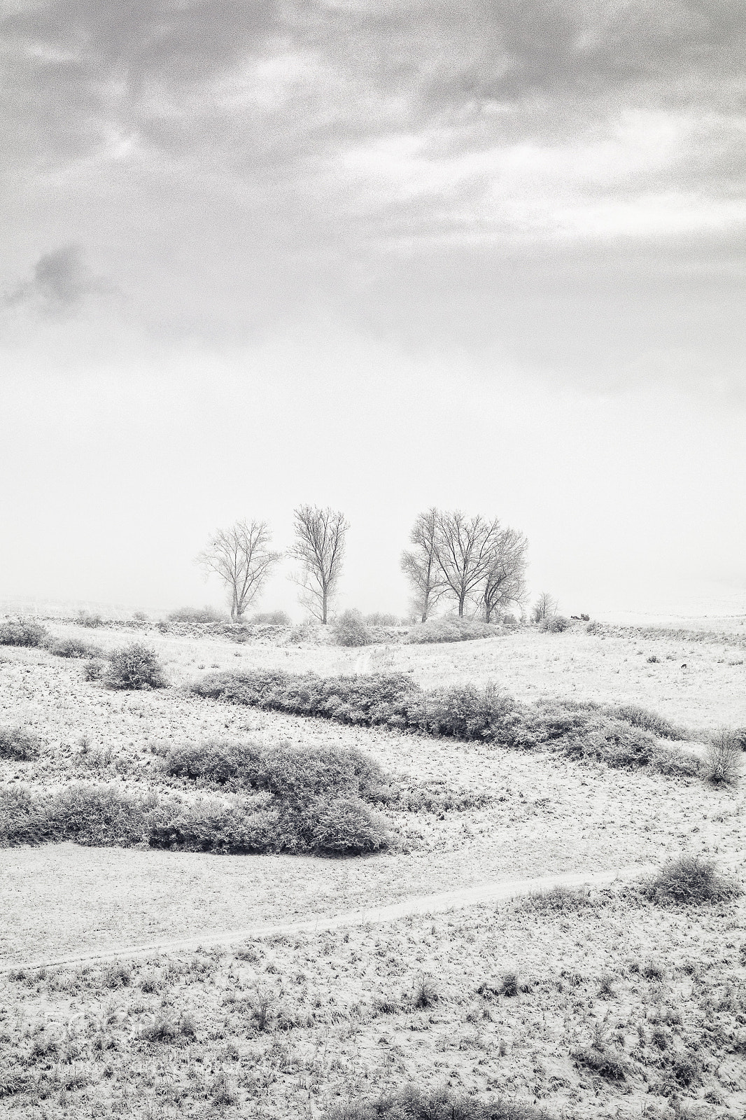 Canon EOS 80D sample photo. Winter photography