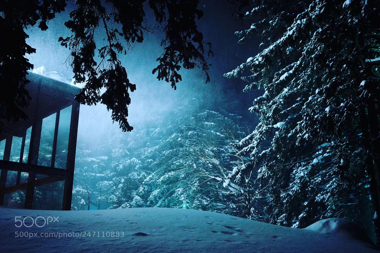 Fujifilm X-T2 sample photo. Heavy snowfall photography