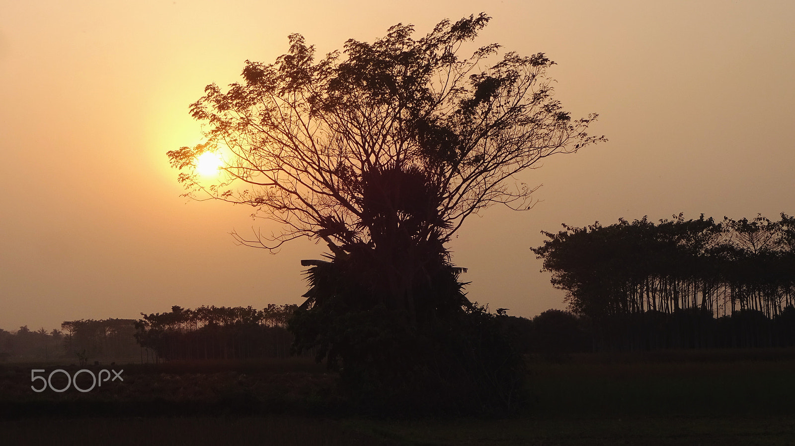 Sony Cyber-shot DSC-WX220 sample photo. Sunset photography